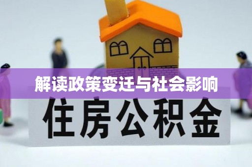 新县解读政策变迁与社会影响