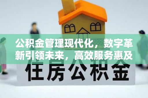 新县公积金管理现代化，数字革新引领未来，高效服务惠及民生