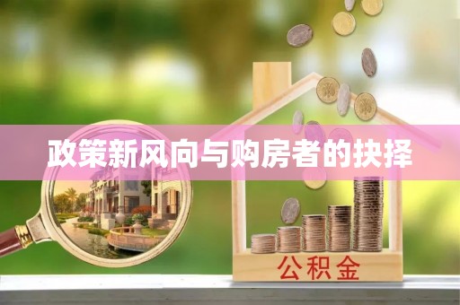 新县政策新风向与购房者的抉择