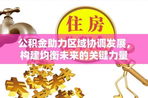 新县公积金助力区域协调发展，构建均衡未来的关键力量