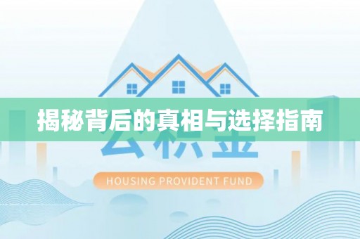 新县揭秘背后的真相与选择指南