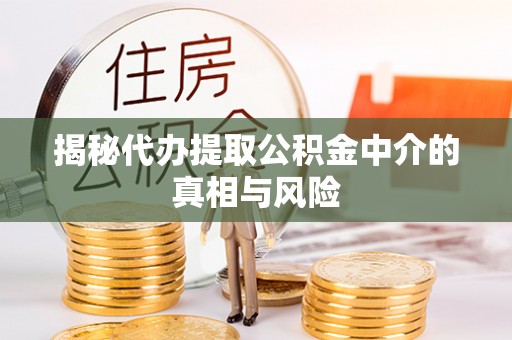 新县揭秘代办提取公积金中介的真相与风险
