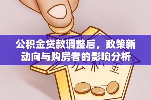 新县公积金贷款调整后，政策新动向与购房者的影响分析