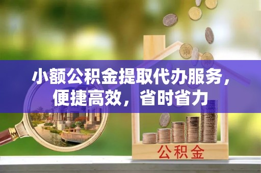 新县小额公积金提取代办服务，便捷高效，省时省力