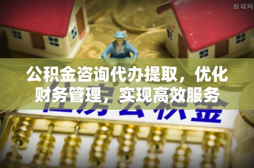 新县公积金咨询代办提取，优化财务管理，实现高效服务