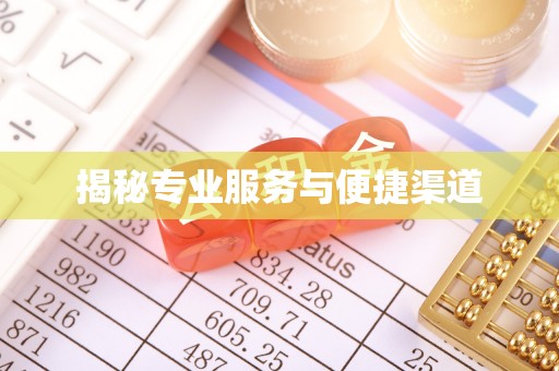 新县揭秘专业服务与便捷渠道