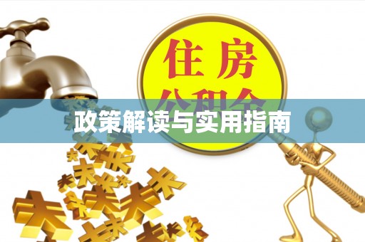 新县政策解读与实用指南