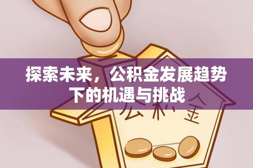 新县探索未来，公积金发展趋势下的机遇与挑战