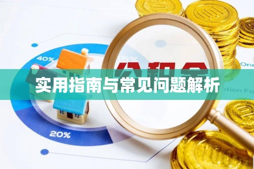 新县实用指南与常见问题解析