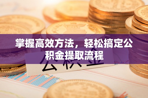 新县掌握高效方法，轻松搞定公积金提取流程