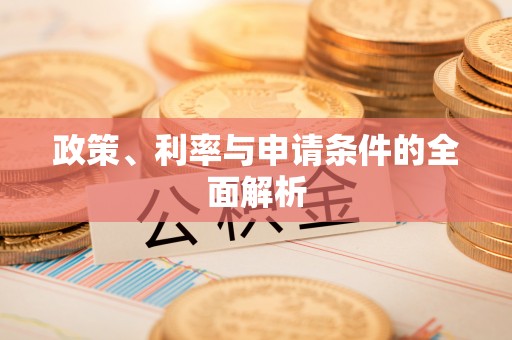 新县政策、利率与申请条件的全面解析