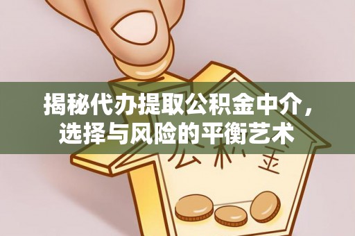 新县揭秘代办提取公积金中介，选择与风险的平衡艺术