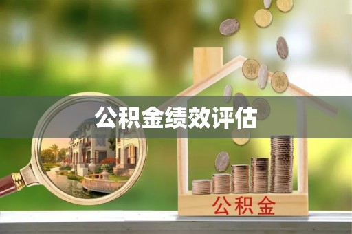 新县公积金绩效评估