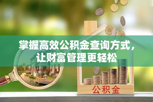 新县掌握高效公积金查询方式，让财富管理更轻松