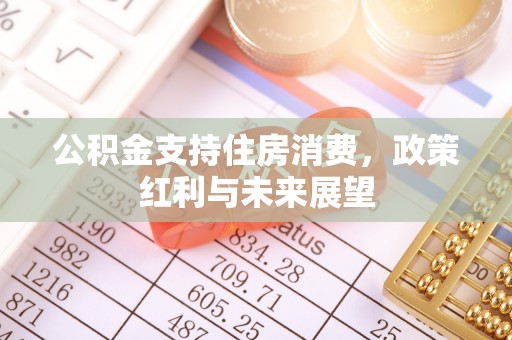 新县公积金支持住房消费，政策红利与未来展望
