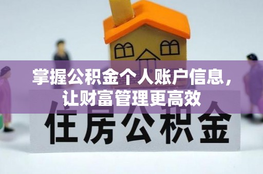 新县掌握公积金个人账户信息，让财富管理更高效