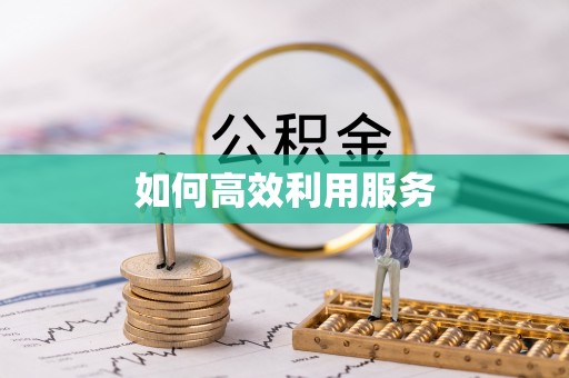 新县如何高效利用服务