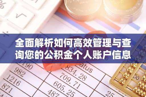 新县全面解析如何高效管理与查询您的公积金个人账户信息