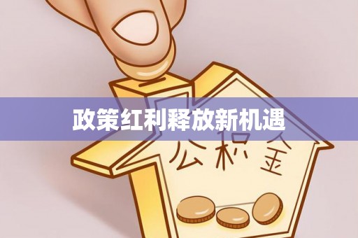 新县政策红利释放新机遇