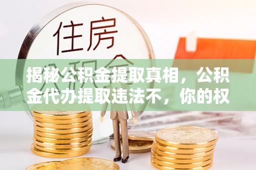 新县揭秘公积金提取真相，公积金代办提取违法不，你的权益如何保障？