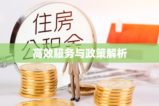 新县高效服务与政策解析