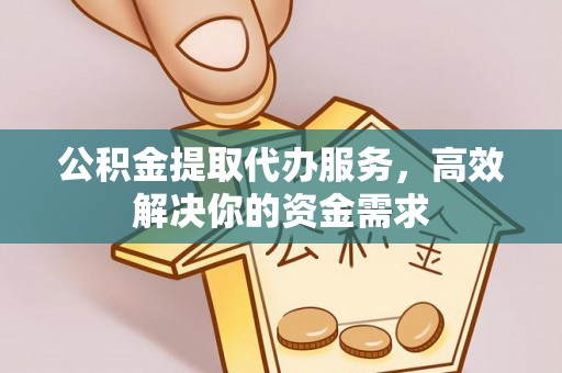 新县公积金提取代办服务，高效解决你的资金需求