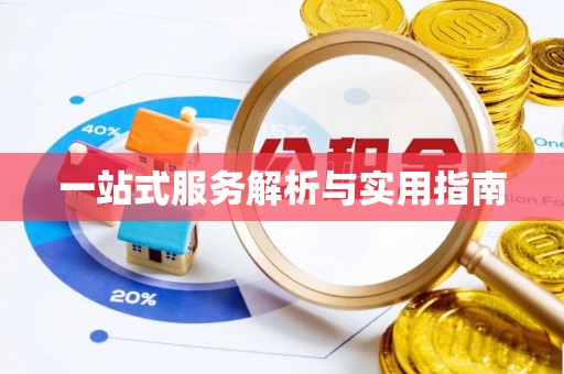 新县一站式服务解析与实用指南