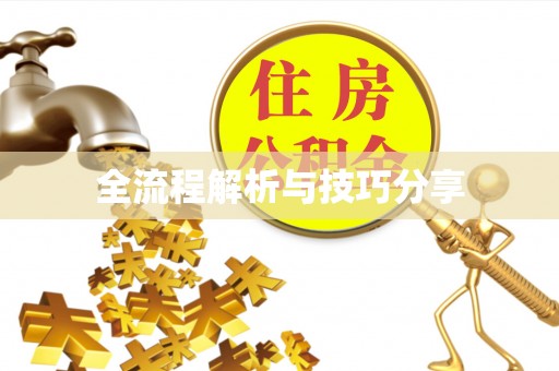 新县全流程解析与技巧分享
